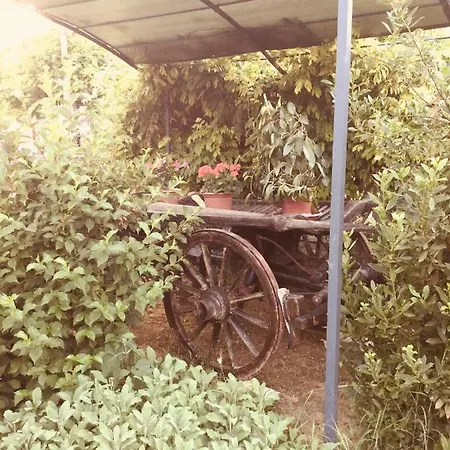 Casa Del Vecchio Carro アパート San Damiano dʼAsti