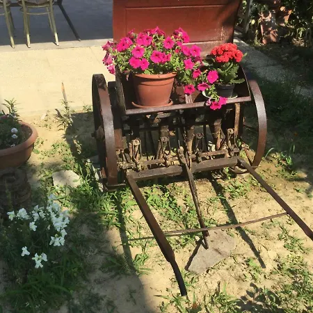 アパート Casa Del Vecchio Carro